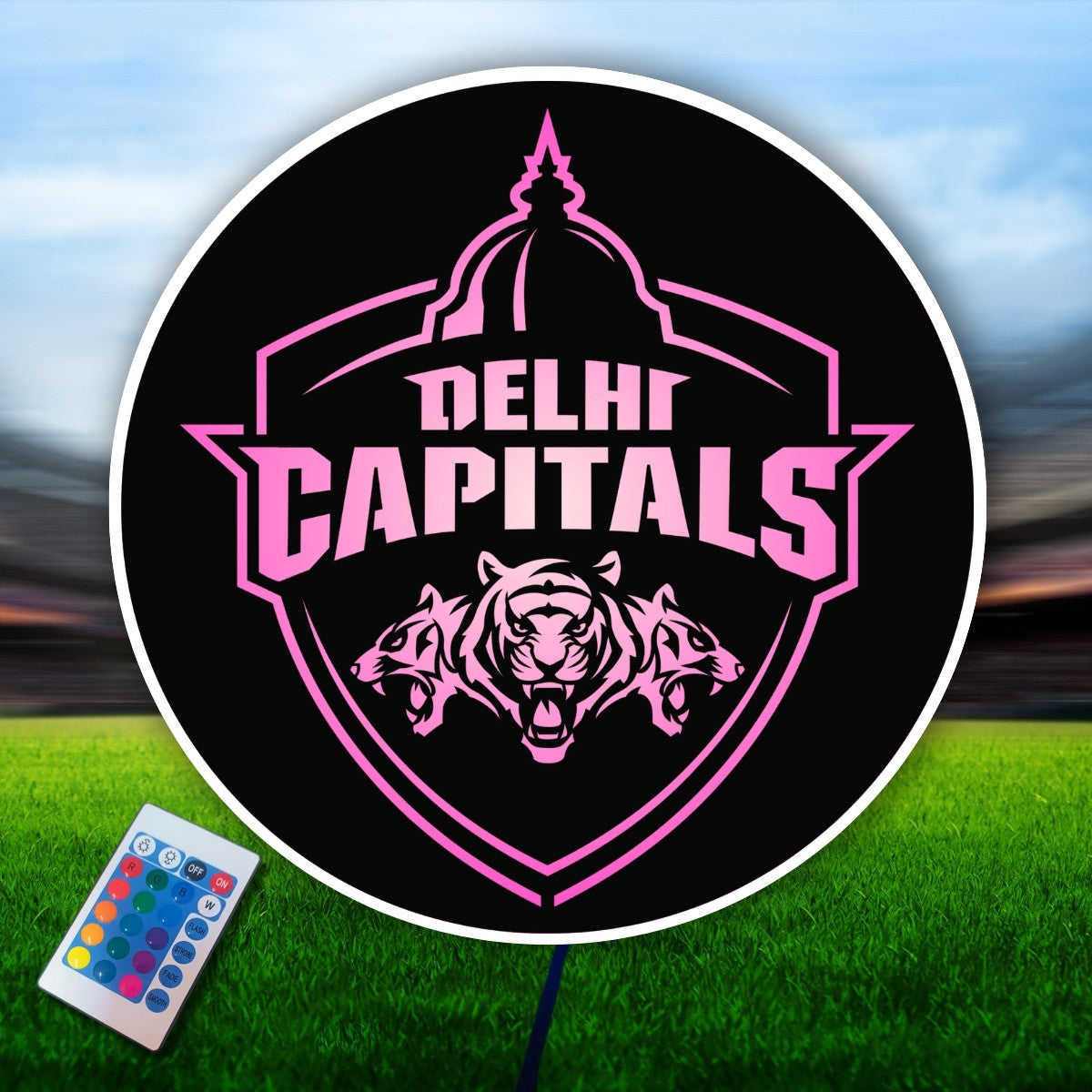 Delhi Capitals