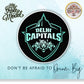 Best Delhi Capitals IPL LED Wall Light – Unique Design